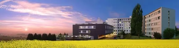 sb_rapsfeld